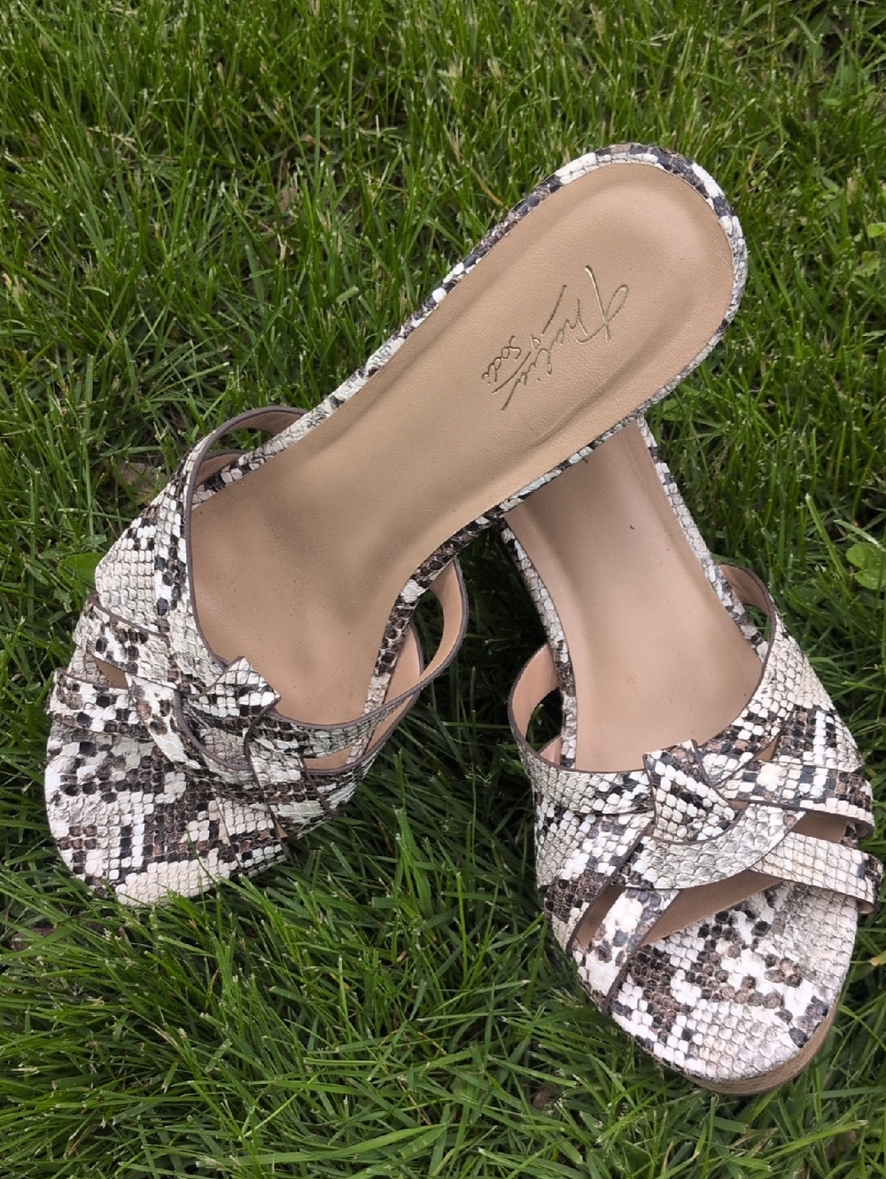 Thalia Sodi Snakeskin Knot Slide Mules Cork Sole Neutral Tones